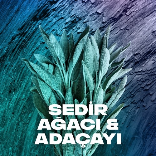 Axe Erkek Deodorant & Bodyspray Apollo 48 Saat Etkileyici Koku 150 ML - 8