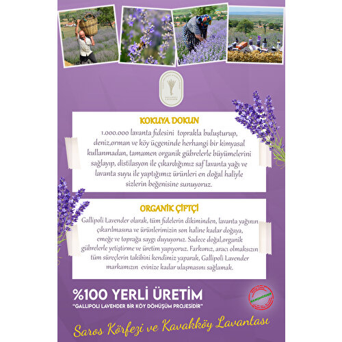 Dr. Lavender Doğal Bitkisel Lavanta Yağlı Sıvı Sabun 300 gr - 2