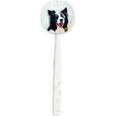 Rocs Flipper Pets Hijyenik Saklama Kabı ve Yetişkin Diş Fırçası Seti (Köpek) Beyaz - Rocs